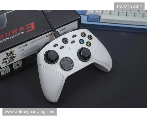 尊龙国际登录:多平台支持让您随时随地畅享精彩游戏体验