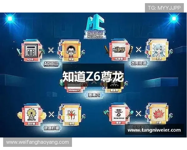 Z6凯时人生：玩家必备的游戏辅助工具推荐与使用技巧分享