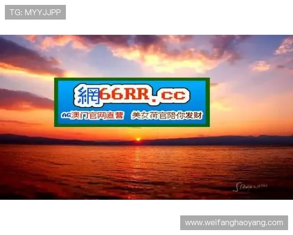 尊龙凯时ag平台最新安全保障措施全面解析，保障玩家资金与信息安全