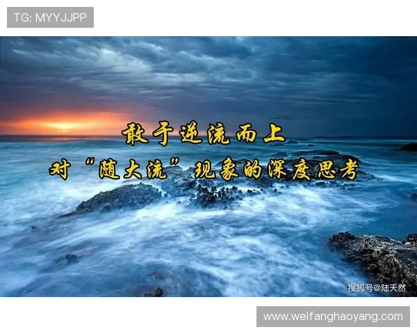 尊龙人生就是傅:探索人生哲学与成功的深度思考