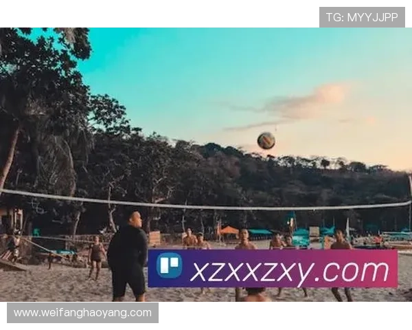 星空体育平台官网入口官方入口地址最新更新与安全提示