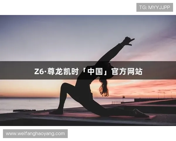 深度分析z6尊龙]interface 中国用户在游戏中的行为和偏好